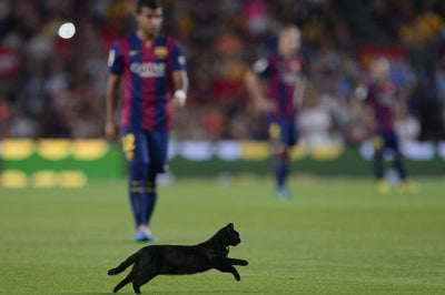 Nine weird superstitions used in football